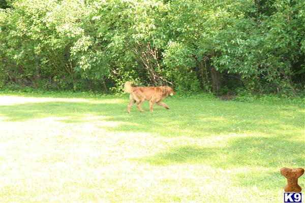 Tom Bruggenthies Picture 3
